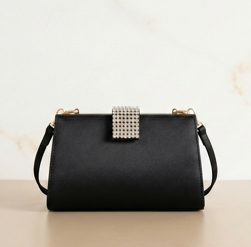 Evening Handbag