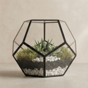 Glass Terrarium